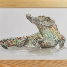 Akwarela ręcznie malowana krokodyl +rama