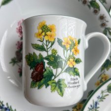 Royal Worcester - Herbs ❤ Kubek ❤ Zioła i motyle