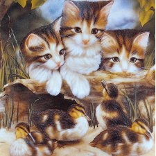 PORCELANOWY KOLEKCJONERSKI TALERZ FRANKLIN MINT "FINE FEATHERED FRIENDS" SPROVACH CAT KITTEN