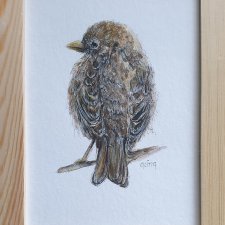 Akwarela ręcznie malowana Wróbel ptak +rama