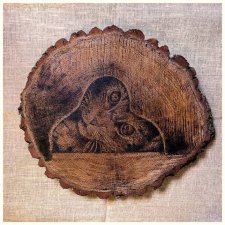 Kot - pirografia (34x31 cm) - obraz wypalany na drewnie, z kotem, dla kociarza, dla miłośnika kotów, woodburning, pyrography art