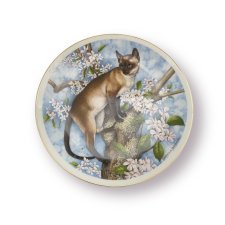 Talerz kolekcjonerski kot Siamese & Apple Blossom